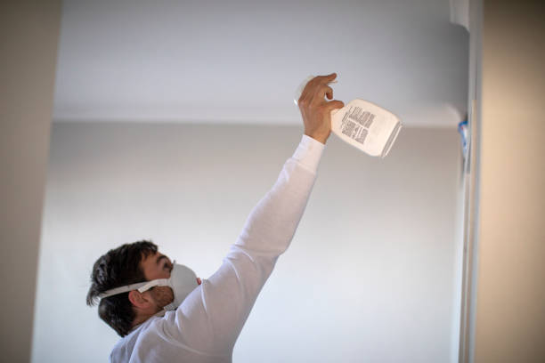 Best Basement Mold Remediation in Connell, WA