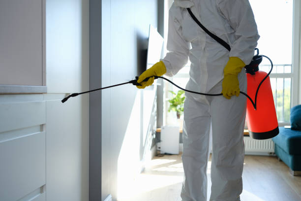 Best DIY Mold Remediation Support Services in Connell, WA