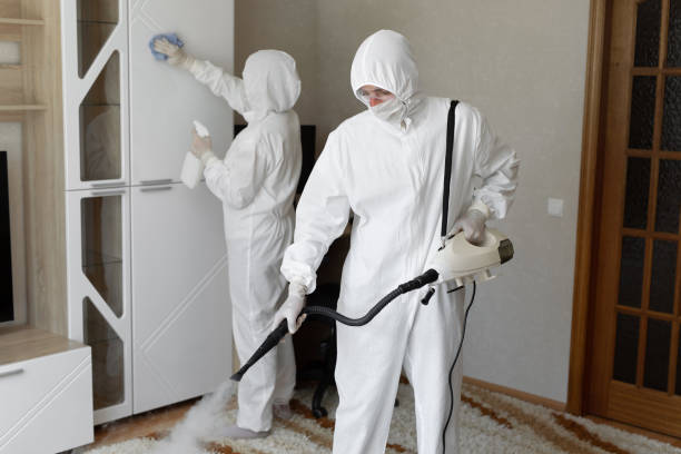 Best Black Mold Remediation in Connell, WA