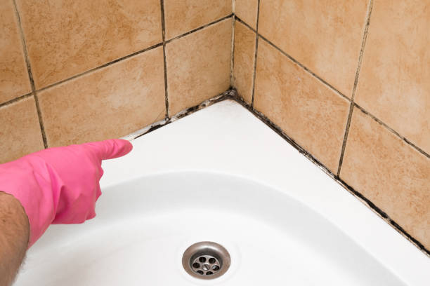 Best Emergency Mold Remediation in Connell, WA